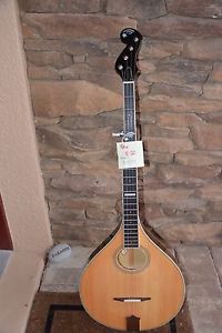 Gold Tone Banjola  6 month factory warranty