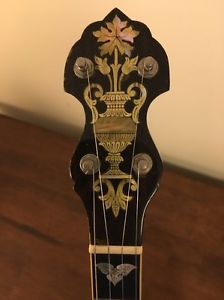 5-String Bart Reiter Professional Whyte Ladie Banjo - Prev. owned by Dave Carter