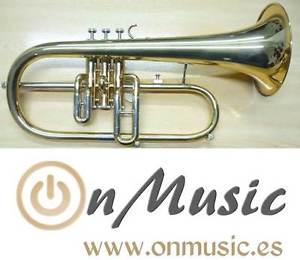 Fliscorno Sib Dieteotto Aleman lacado como nuevo.