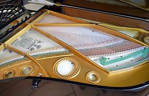 BECHSTEIN  Konzert Flügel Stutzflügel Grand Piano Pianofort Studioflügel Klavier
