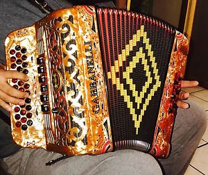 2 tone gabbannelli accordion