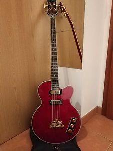 Epiphone Allen Woody Rumblekat Electric Bass Guitar