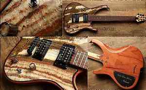 Zerberus Guitars Zerberus-Guitars Gorgonized Nemesis