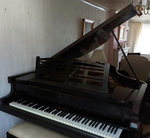Niendorf baby grand piano 1924 please message to make an appointment to view. 