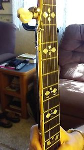 Gold Star Archtop Banjo