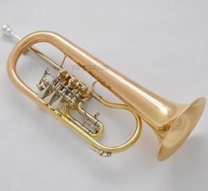 Professional Rotary Valve Flugelhorn Gold Brass BB Horn Engraving Bell With case