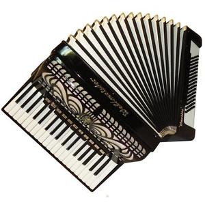 Weltmeister Caprice, 96 Bass, 16 Reg + Case, German Accordion, Close to New. 695