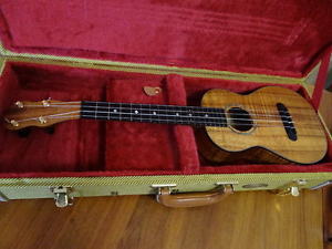WILLIAM KING UKULELE LIKE NEW IN CASE SERIOUS MUSICIAN’S INSTRUMENT