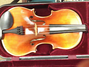 Snow Viola, SA200, 16.5", 2011 -- Bright tone!