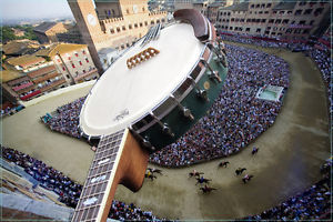 5string Banjo 