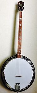 Gold Tone Tenor Plectrum 4-string Banjo