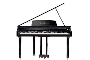 GRAND PIANO SHELLS AT DIRECT TO CONSUMER PRICING!