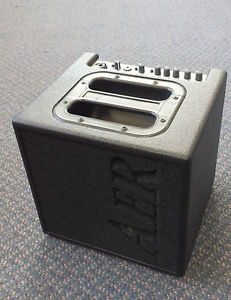AER Alpha 40w combo amplifier