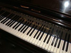 BÖSENDORFER 170cm Flügel Stutzflügel Grand Piano Pianofort Klavier Salonflügel