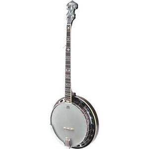 Washburn B16K 5-String Bluegrass Banjo Flamed Maple Resonator w/ Hard Case
