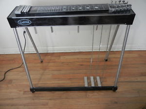 Carter Starter E9 Pedal Steel Guitar