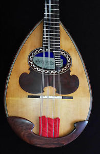 Calace mandolin of the 1902  Raffaele Calace Labeled