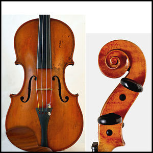 A fine old violin Guarneri model violin - Paul Beuscher - With certificate