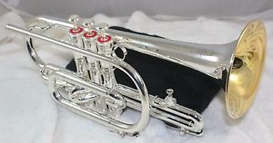 VINTAGE SILVER OLDS AMBASSADOR CORNET 197542