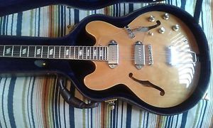 Peerless Songbird Guitar With Hard Case