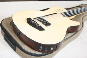 Godin A5 Ultra Fretless Bass Acoustic/Electric with Synth Access