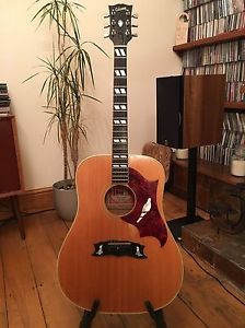 Gibson Dove Custom 1973