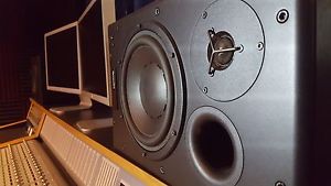 (2) Dynaudio Acoustics BM15A Powered Studio Monitors Left + Right Side -- Works