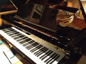 Kawai Grand Piano Model KG6E 6'9" (1987) METICULOUS Also Steinway Avl