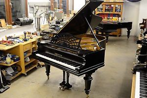 C.Bechstein Flügel Modell B 203cm