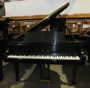 STEINWAY Model "M"  Excellent condition 1984 BABY GRAND PIANO    Free Delivery