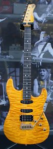 Valley Arts Custom Pro made in USA