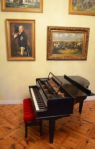 schöner Kleiner Hofmann Flügel Stutzflügel Salonflügel Klavier Piano Pianoforte