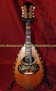 Calace mandolin of the 1902