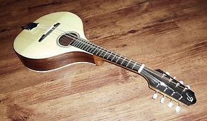 Pickard Acoustics Rosewood Mandolin (50-M/E)