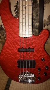 Lakland Deluxe 5594 5String Elec