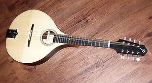 Pickard Acoustics Rosewood Mandolin (49-M/E)
