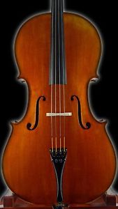 Vultur Calin 4/4 "Master" Violoncello ID.nr. 254, Fatto a mano di sette