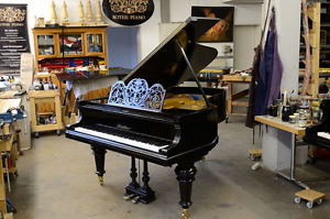 Blüthner Flügel 190cm + normale Mechanik