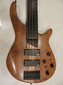 Deluxe Warmoth Fretless Bass Guitar- 5 string Gecko