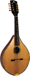 Ashbury STYLE S MANDOLINE! Celtique folk Dos plat,Haut Massif+Boitier De