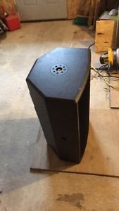 Adamson Active Point 15 Series Speaker