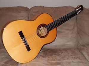 POWERFUL & "SURPRISINGLY SPANISH" BRAND NEW ARIA A100F FLAMENCO GUITAR