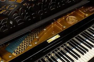 C.Bechstein Flügel Modell C 220cm