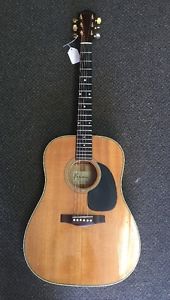A Lo Prinzi LM-12 Guitar with case