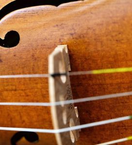 Very old labelled Vintage violin 