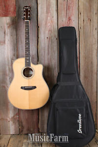 Breedlove Stage Dreadnought CE Acoustic Electric Guitar with Deluxe Gig Bag NAMM