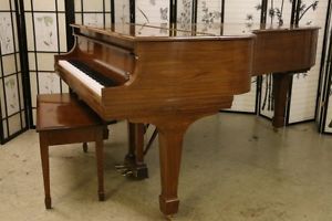 Steinway B 1995 Crown Jewel "Santos Rosewood" Mint condition (See Video)