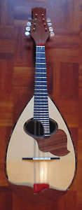 Mandolin  MAZZACCARA CARLO mod  ST