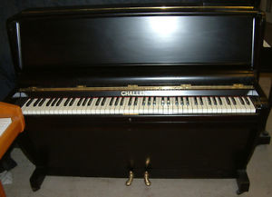 Challen upright in a Black Satin cabinet