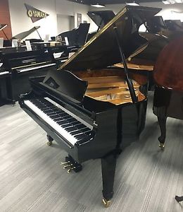 Perzina GP-152 Beautiful Ebony Black 5’1 Grand Piano